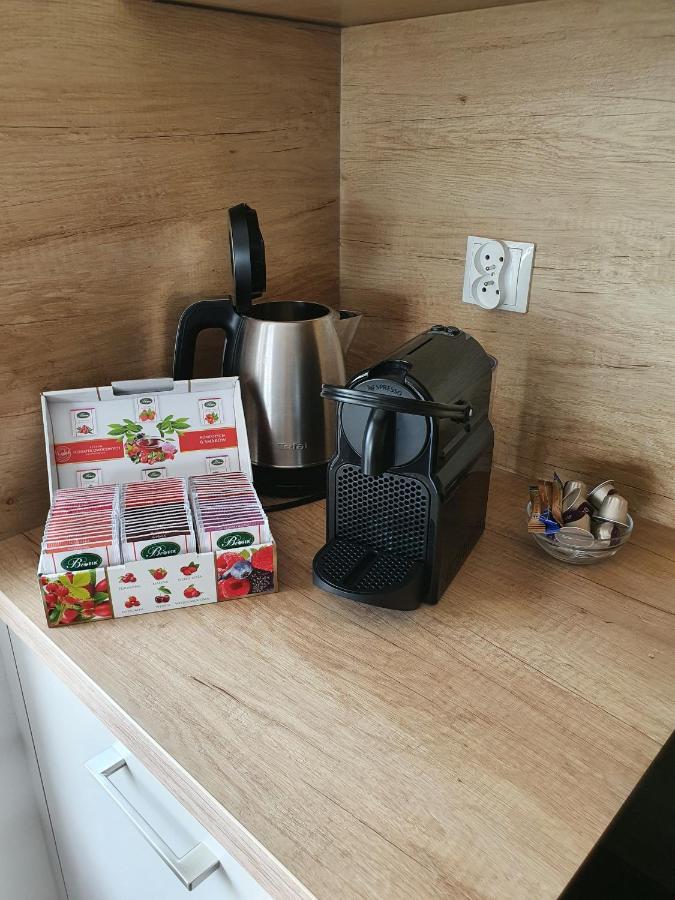 Apartament Medallion コウォブジェク エクステリア 写真
